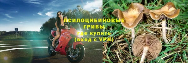 МДМА Бородино