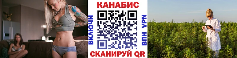 где можно купить   Сургут  omg как войти  Бошки марихуана Amnesia 